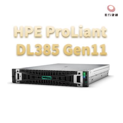 Server di archiviazione HPE ProLiant DL385 Gen11 1U spedito dalla Cina