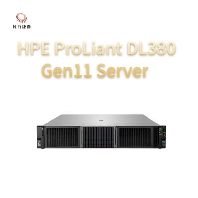 HPE ProLiant DL380 Gen11 server rack,server di archiviazione personalizzato,server a due vie