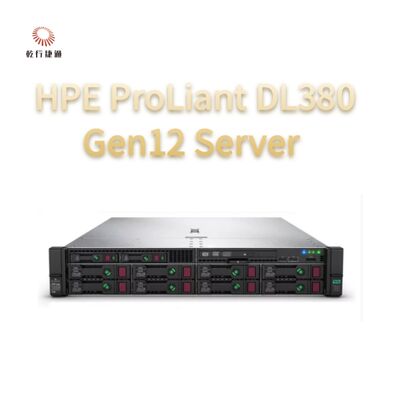 HPE ProLiant Compute DL380 Gen12 Rack Storage Server, server di storage personalizzato, server a due vie