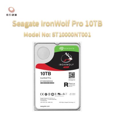 Seagate Ironwolf Pro 10TB Modello N.: ST10000NT001