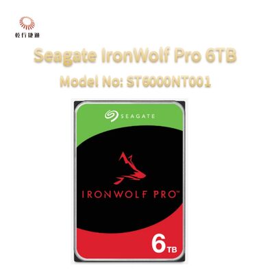 Seagate Ironwolf Pro 6TB Numero modello: ST6000NT001