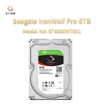 Seagate Ironwolf Pro 6TB Numero modello: ST6000NT001